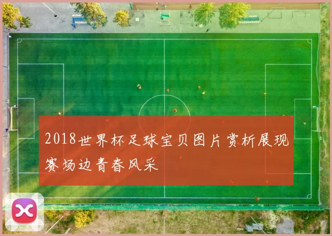 2018世界杯足球宝贝图片赏析展现赛场边青春风采